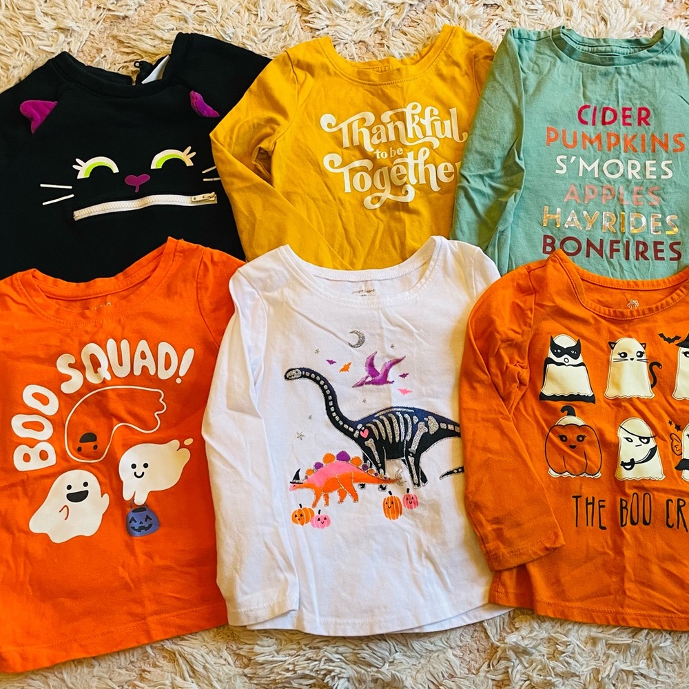 Lot of 6 Fall Toddler Tops